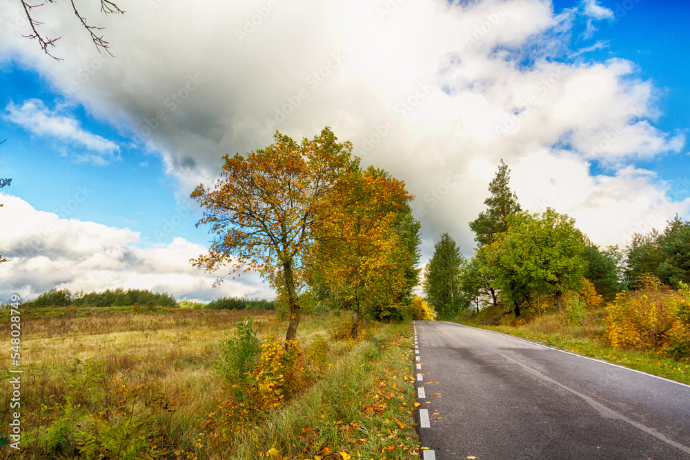 Fototapeta premium Landscape autumn road with colourful trees, autumn Poland, Europe and amazing blue sky with clouds, sunny day