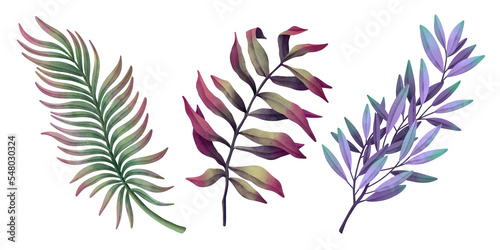 Set of watercolor leaf branches. Hand drawn watercolor illustration