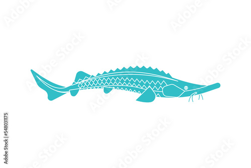 Sturgeon isolated icon. Fish sign. Vector illustration