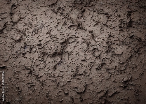 mud or soil wet texture