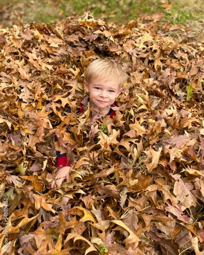 Young blonde-haired boy playing in pile of leaves with head out of leaves