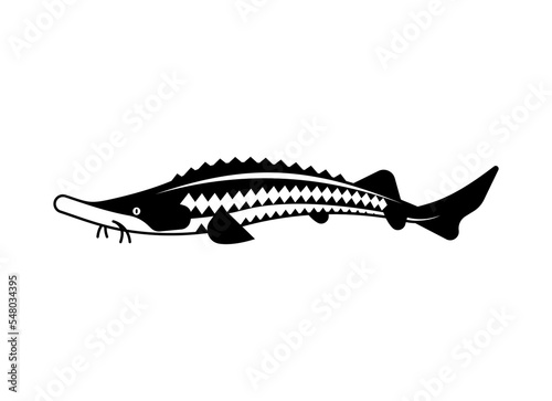 Sturgeon isolated icon. Fish sign. Vector illustration