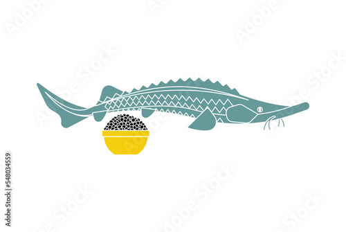 Sturgeon and black caviar isolated. Fish delicacy.