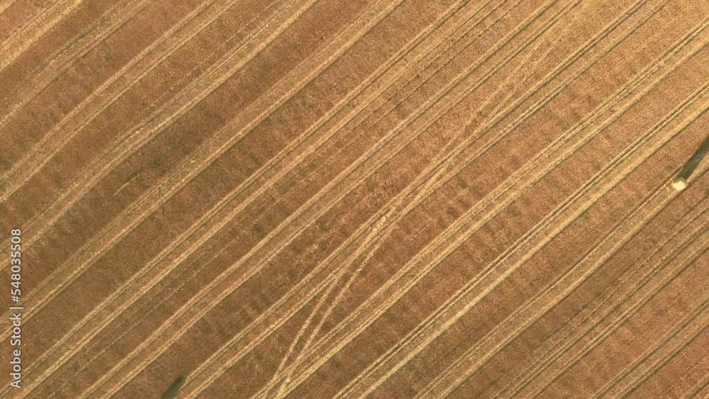 Aerial view rolls haystacks straw on field, harvesting wheat. Rural field with bales of hay. Landscape Drone footage Aerial view rolls haystacks straw on field, harvesting wheat. Rural field with bales of hay. Landscape Drone footage