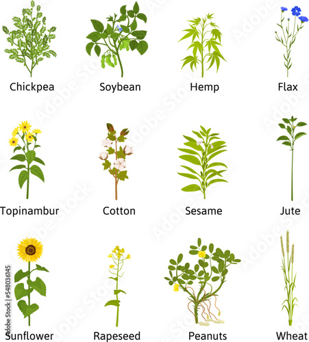 Tecnhical Flowers Plants Set