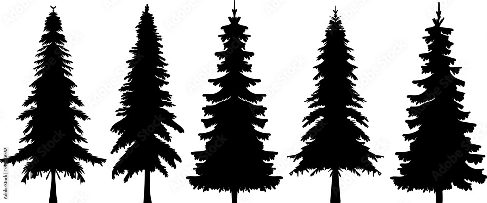 spruce silhouette, fir trees set design vector isolated