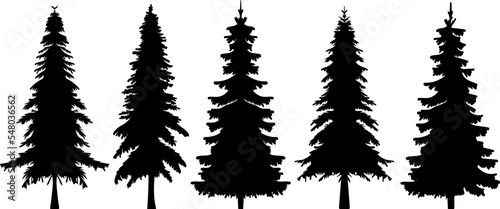 spruce silhouette, fir trees set design vector isolated