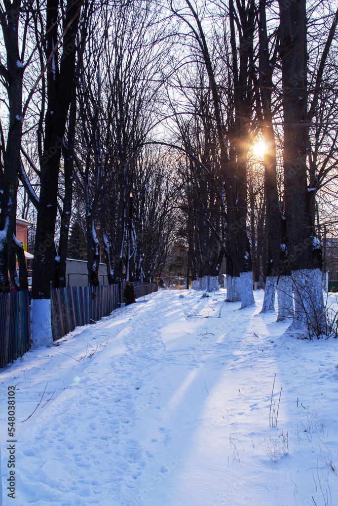 Winter landscape in the rays of the setting sun. City park.