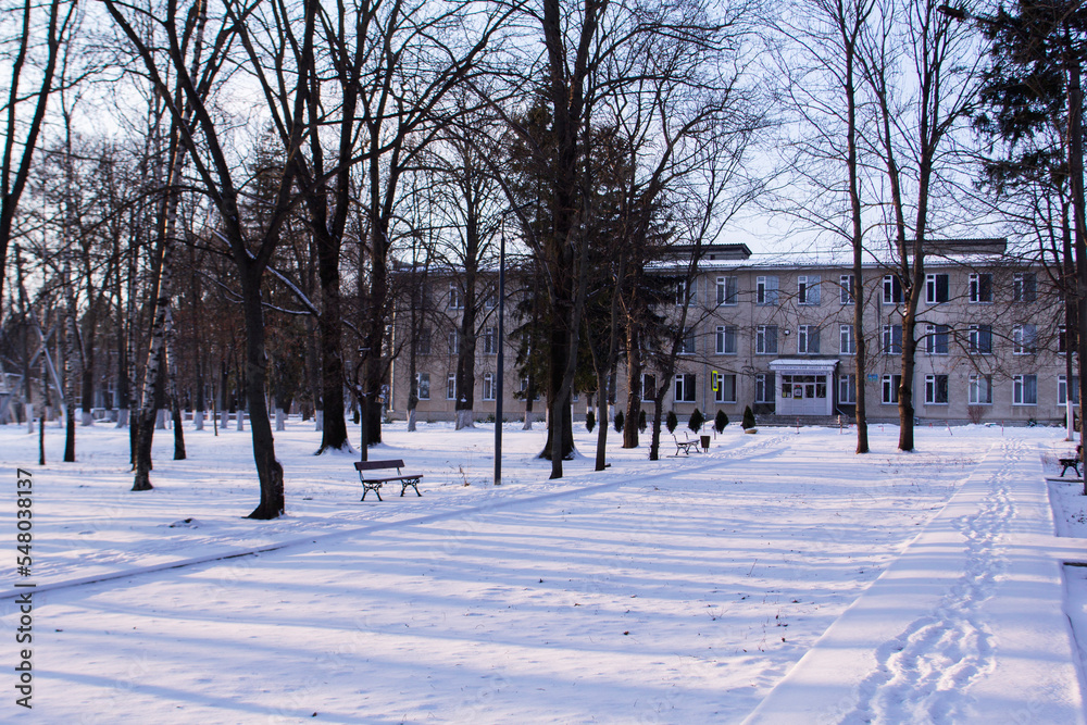 Winter landscape in the rays of the setting sun. City park.