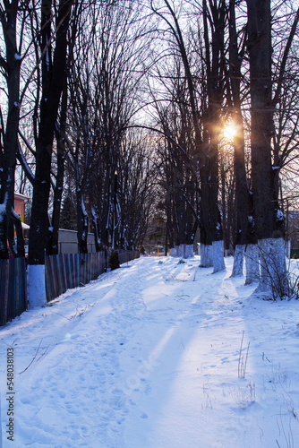 Obraz na płótnie Winter landscape in the rays of the setting sun. City park. w salonie