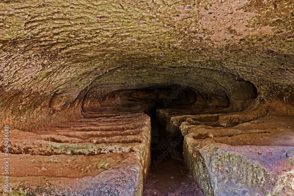 Obraz premium Viterbo, Lazio, Italy: Etruscan necropolis of Castel d'Asso, interior of the ancient Orioli tomb carved in the tufa rock with 62 funerary beds