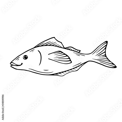 Doodle sketch of a decorative fish.Vector graphics.