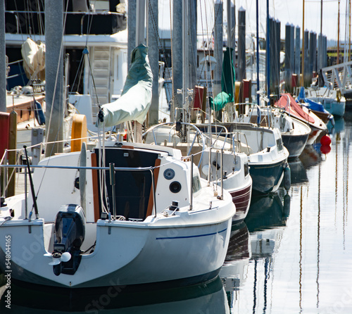 Sailboats lined up along dock in Marina in Bellingham, Wshington photo