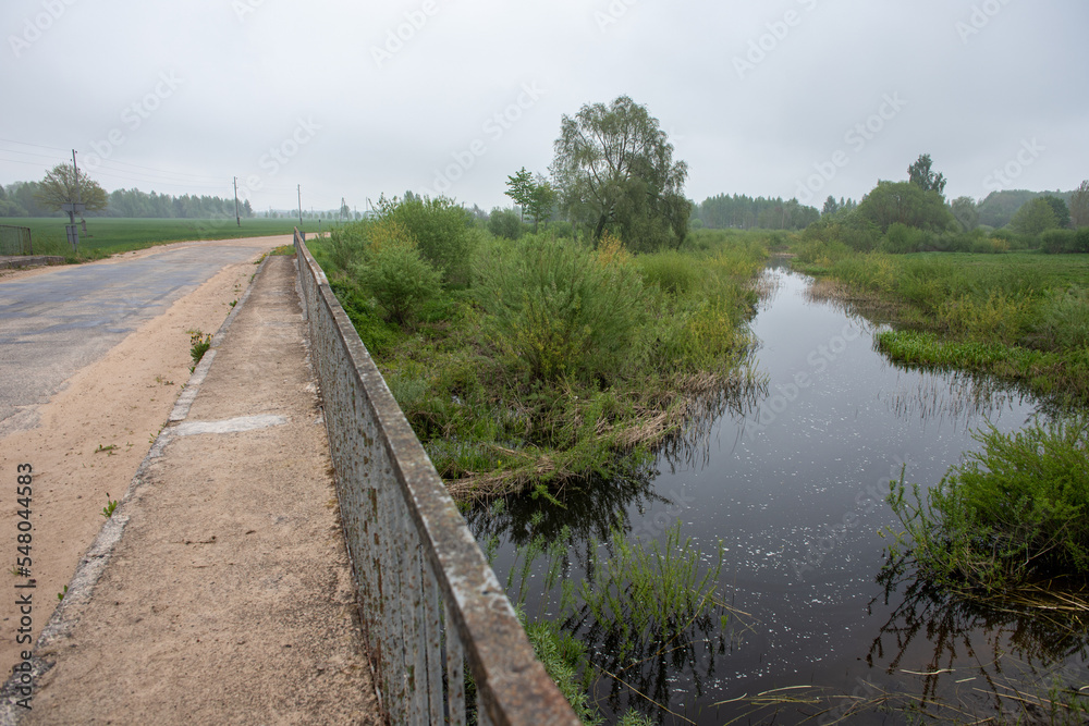 river Sesava near Jelgava town in Latvia, Zemgale. Fresh green grass in overcast rainy spring day river Sesava near Jelgava town in Latvia, Zemgale. Fresh green grass in overcast rainy spring day