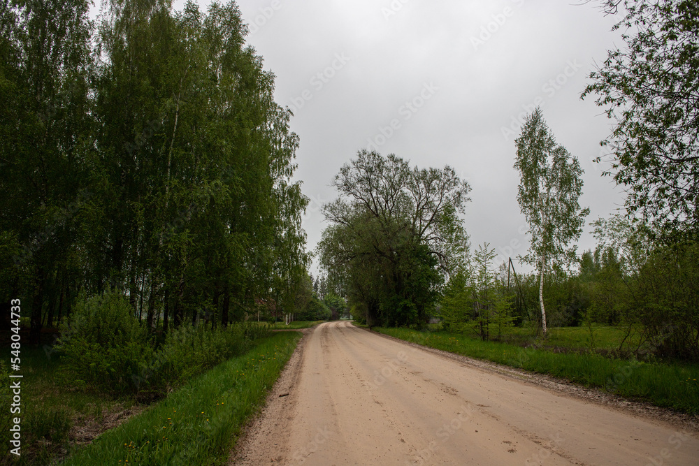 road in Latvia countryside. Zemgale flat landscape with fields and forest trees. Road from Jelgava town to Stalgene village