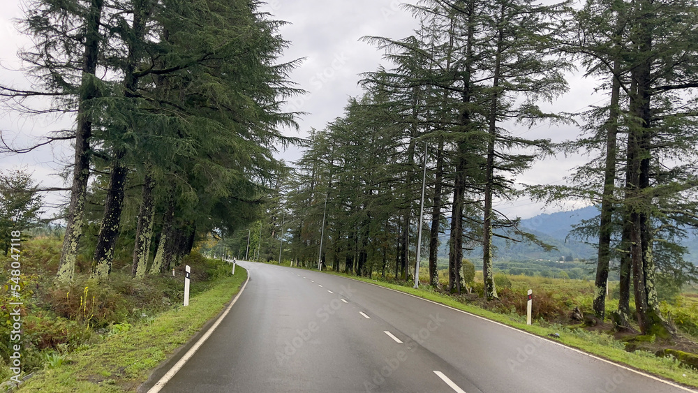 Fototapeta premium roads and stunning green landscapes in georgia