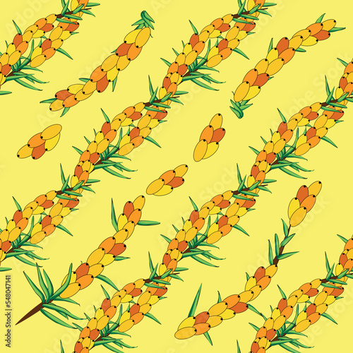 Sea buckthorn seamless pattern. Twigs with berries and leaves. Template with orange fresh berries for wallpaper
