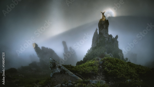 Men and magical Glory in mountains Spitz, Ukrainian Carpathian Mountains. A glory is an optical phenomenon. High stone ledges in mountains. Mystical and scary mountains in fog.