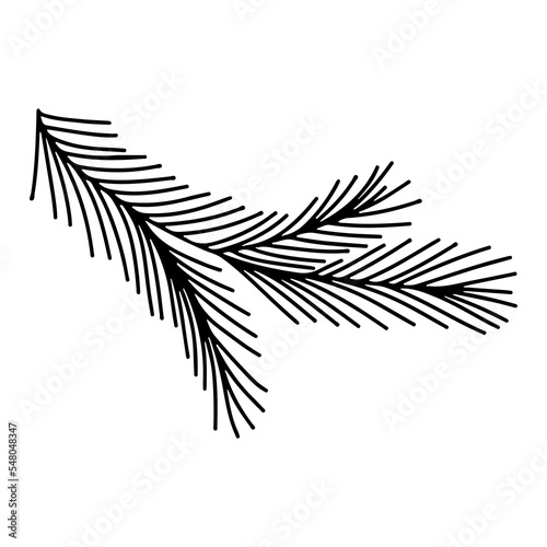 Christmas spruce tree branche. Christmas and holiday vector decoration. Pine or fir tree branche in hand drawn doodle style.