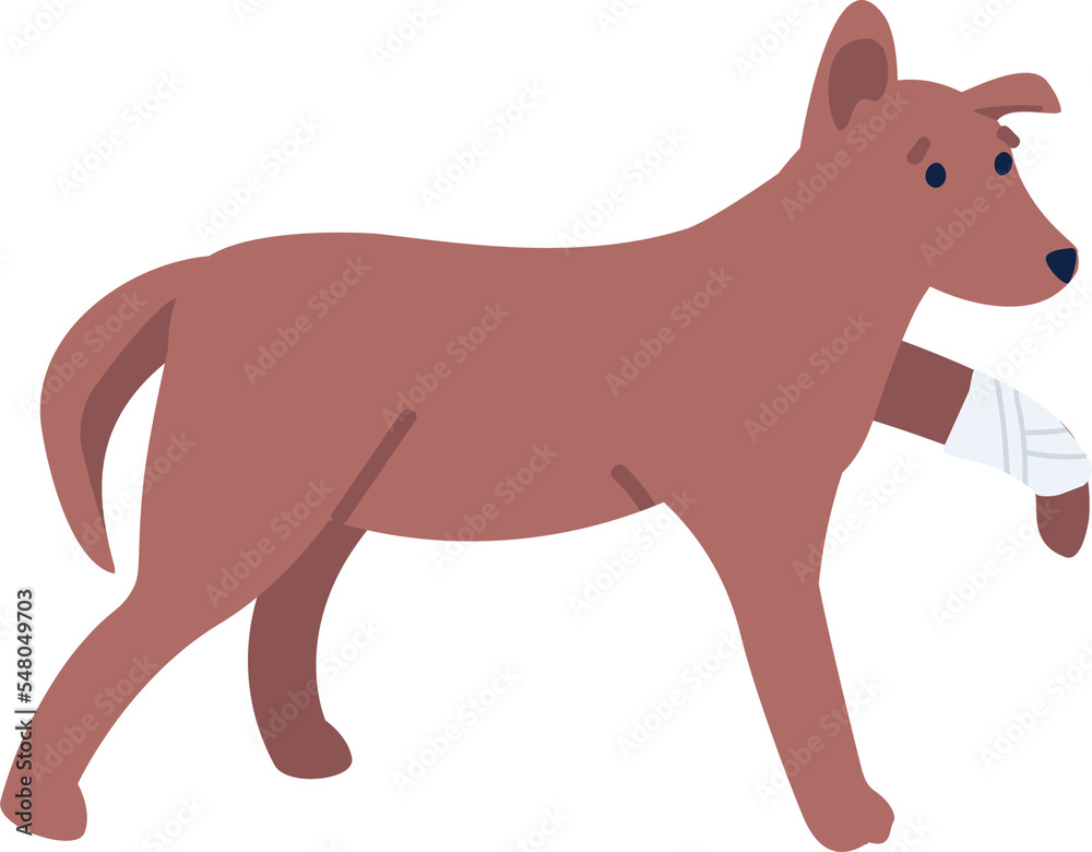 Sad dog with broken leg semi flat color raster character. Standing figure. Full body animal on white. Veterinarian visit simple cartoon style illustration for web graphic design and animation
