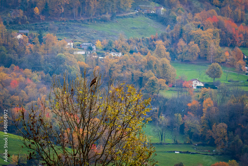  Uriage les Bains, Isère, Rhône-Alpes, France, 20 11 2022 autumn landscape from the crests of Uriage, rural landscape, countryside landscape