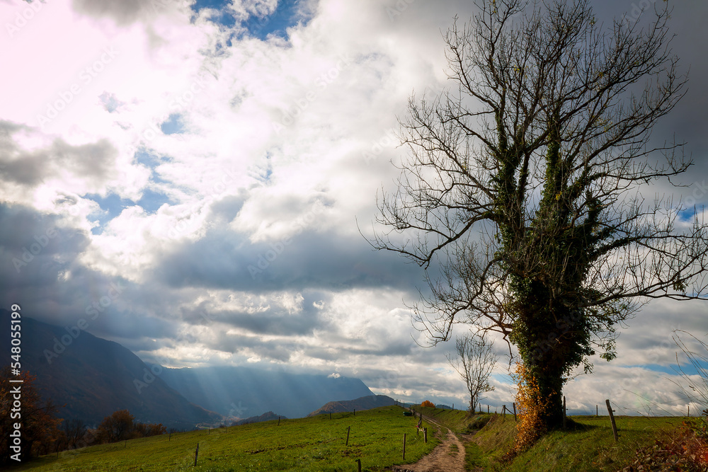 Obraz premium Uriage les Bains, Isère, Rhône-Alpes, France, 20 11 2022 autumn landscape from the crests of Uriage, rural landscape, countryside landscape