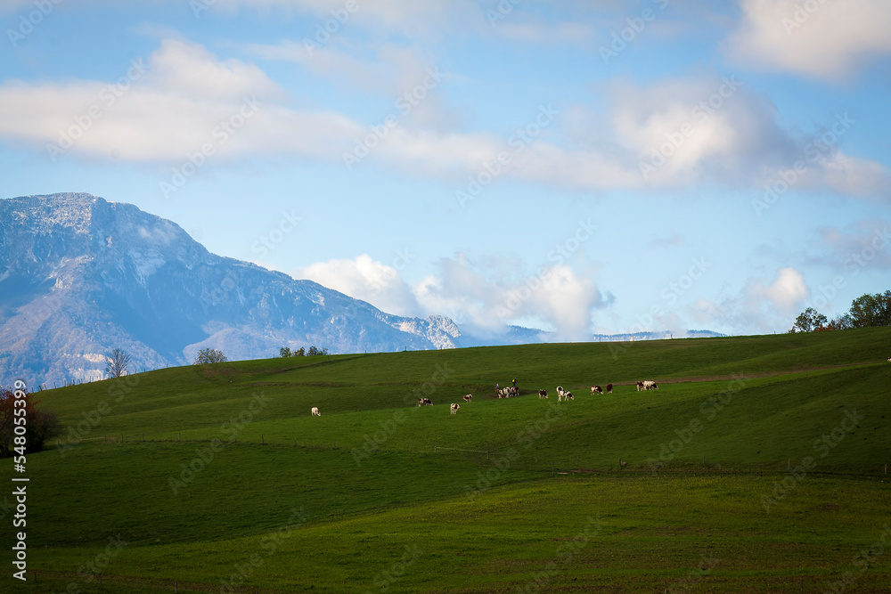 Obraz premium Uriage les Bains, Isère, Rhône-Alpes, France, 20 11 2022 autumn landscape from the crests of Uriage, rural landscape, countryside landscape