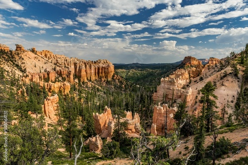 Murais de parede Red Bryce canyon with green trees in the Dixie National Forest of Utah