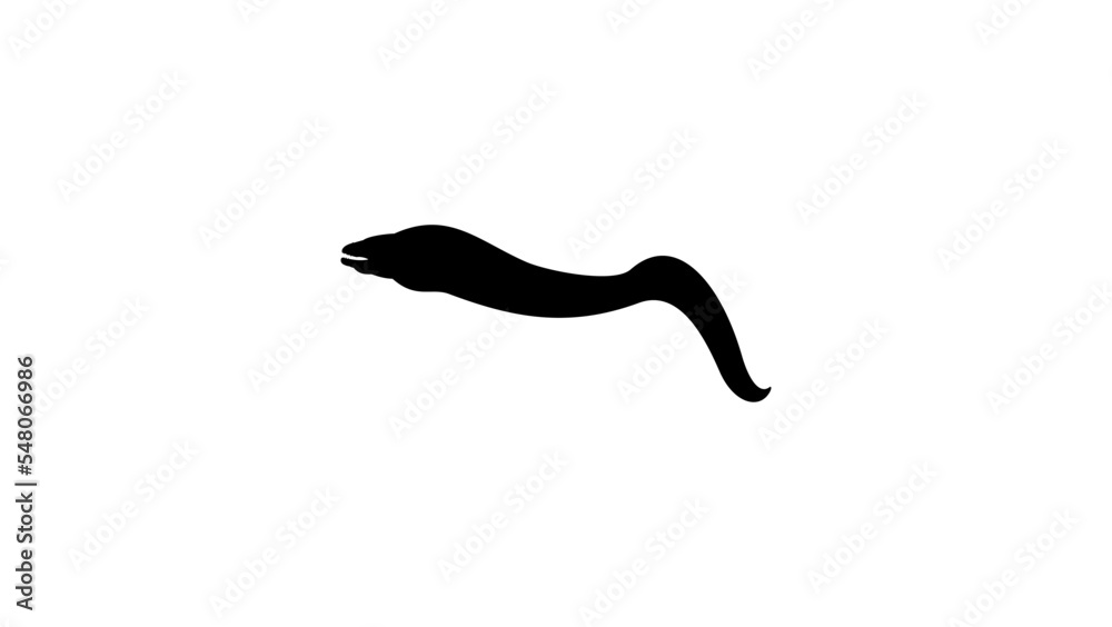 Muraena silhouette Muraena silhouette