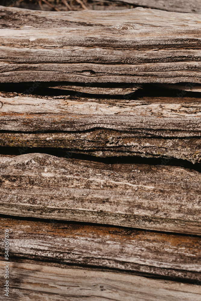 Vertical rough background from old rotten boards. Unpainted old boards served as a fence. Unpainted rotting wood. Free space for text Vertical rough background from old rotten boards. Unpainted old boards served as a fence. Unpainted rotting wood. Free space for text