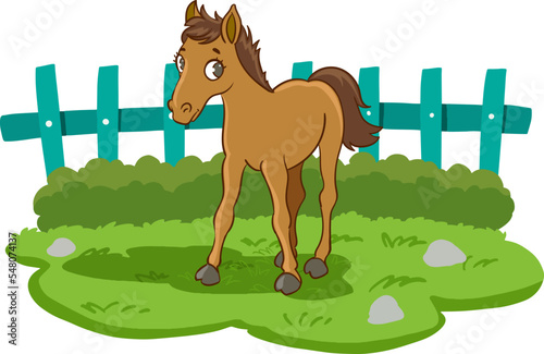 horse and foal cartoon vector