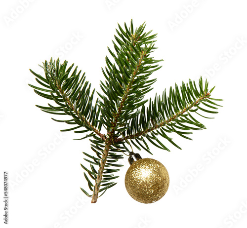Christmas Fir twigs isolated transparent background, PNG. Xmas decoration, fresh pine branch and gold bauble. photo