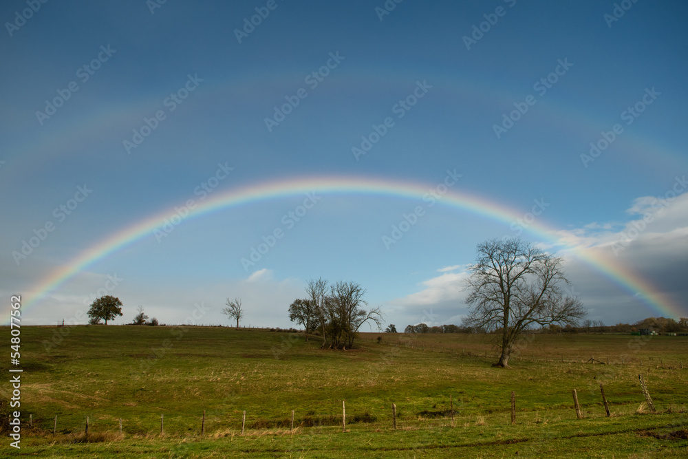 Naklejka premium Arc-en-ciel dans un champ