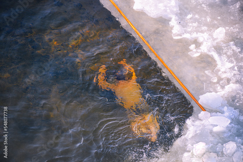 Winter diver in the process of diving under water. Ice, winter. © Aleksii Smoliakov