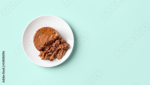 Soft pate for cat on a feeding plate over pastel mint background. Portion of wet pet food of minced meat on a white saucer closeup. Wet pet food, cat feed concept. Copy space.