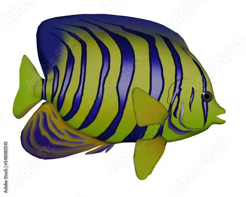 Angelfish - 3D render photo