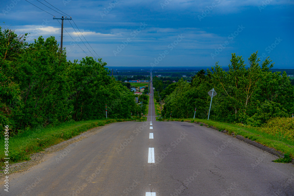 Fototapeta premium road in the countryside