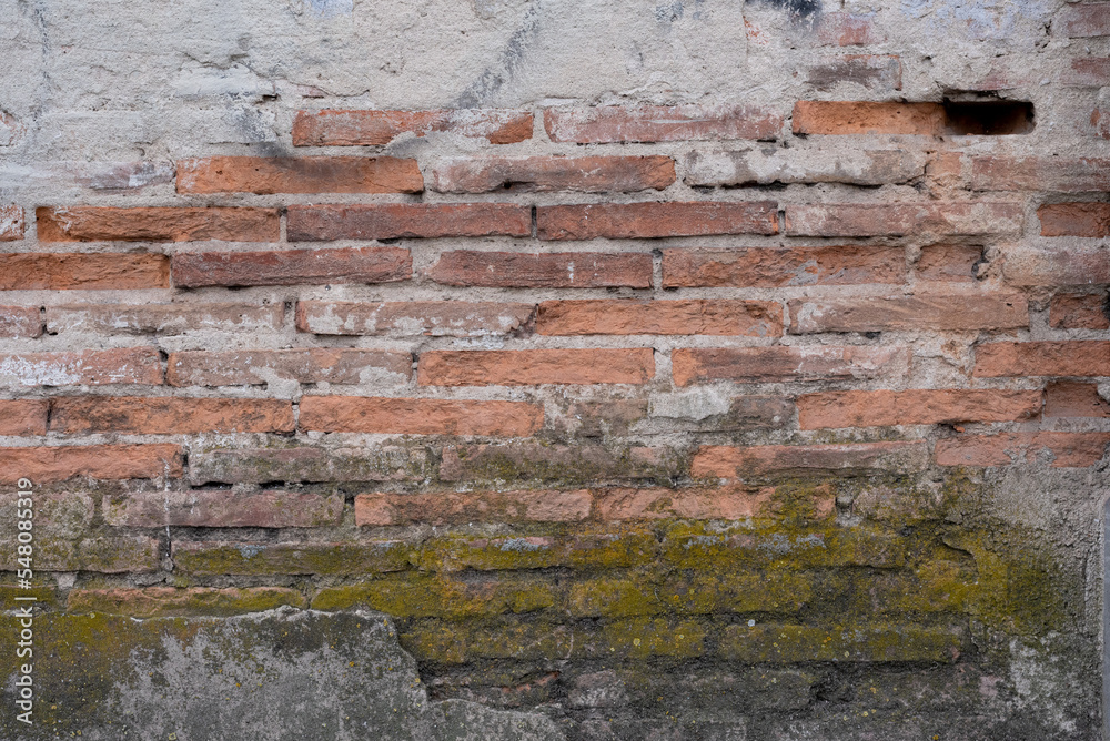 Fototapeta premium old brick wall background
