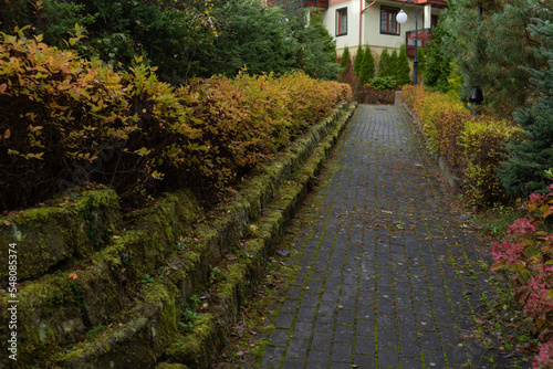 cobblestone path leading to the building along an old stone wall overgrown with moss close-up in autumn 