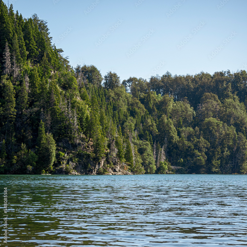 beautiful view of the lake and the forest beautiful view of the lake and the forest