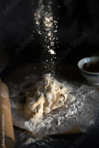 bread dough baking some fresh homeade bread. floating flour photo