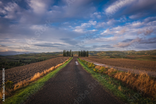 Countryside road with cypresses on sunrise. Typical landscape in Tuscany, Italy. October 2022
