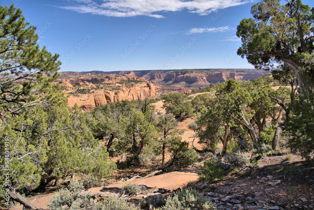 Navajo National Monument located near Shonto, AZ