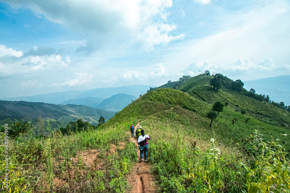 Fototapeta premium View of the nature trail on the mountain in Thailand