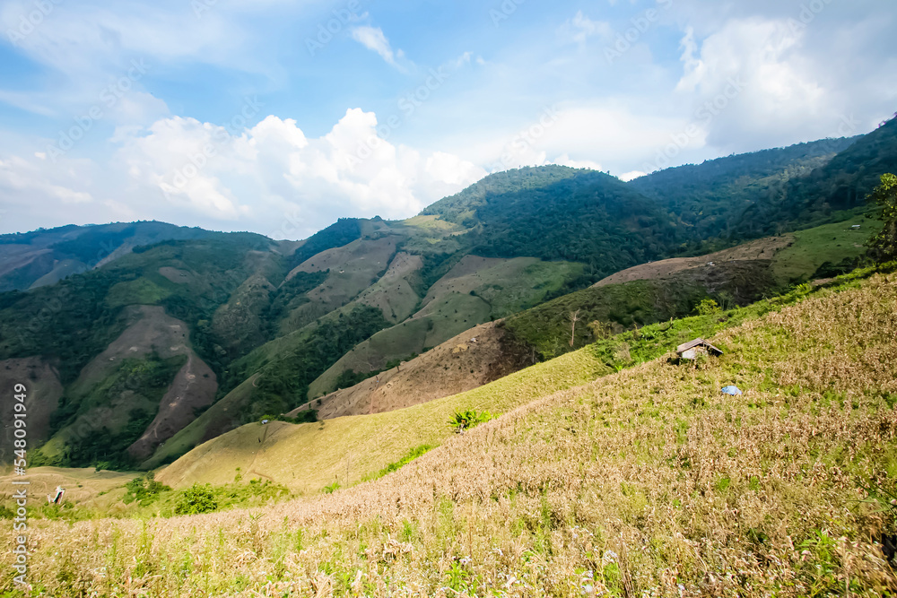 View of the nature trail on the mountain in Thailand View of the nature trail on the mountain in Thailand