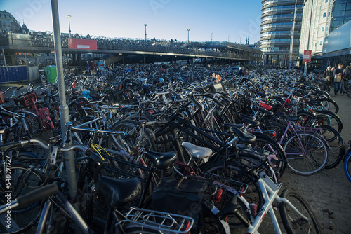 transport miejski w Holandii photo