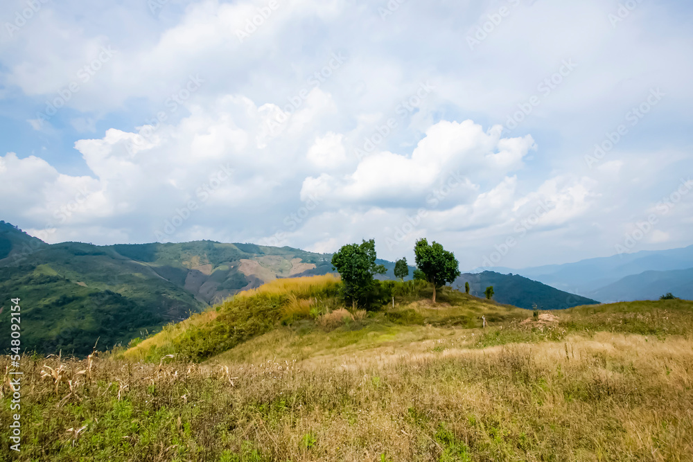 Fototapeta premium View of the nature trail on the mountain in Thailand