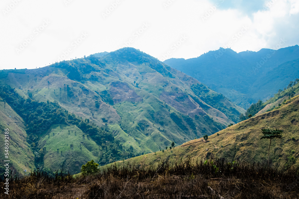 Obraz premium View of the nature trail on the mountain in Thailand