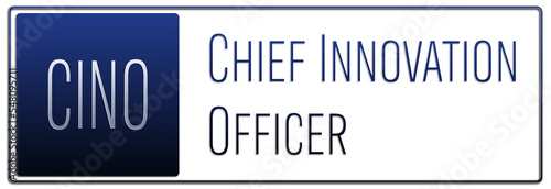 English professional title in management - Chief Innovation Officer