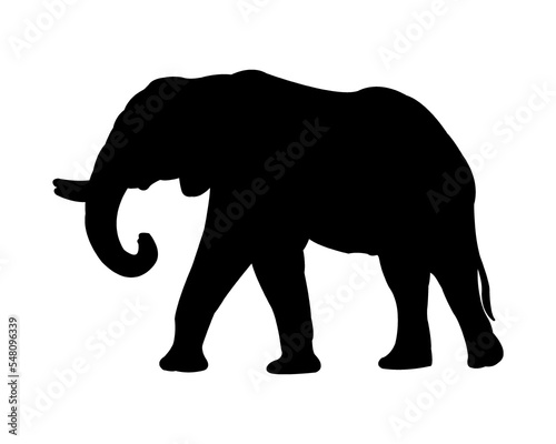 black elephant icon in nature isolate.